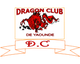 雅温得之龙 logo
