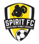 北部精神女足 logo
