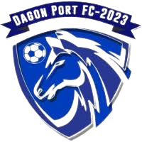 大港星联U20 logo