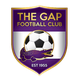 南查理斯顿布女足 logo