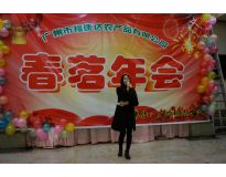 公司年会
